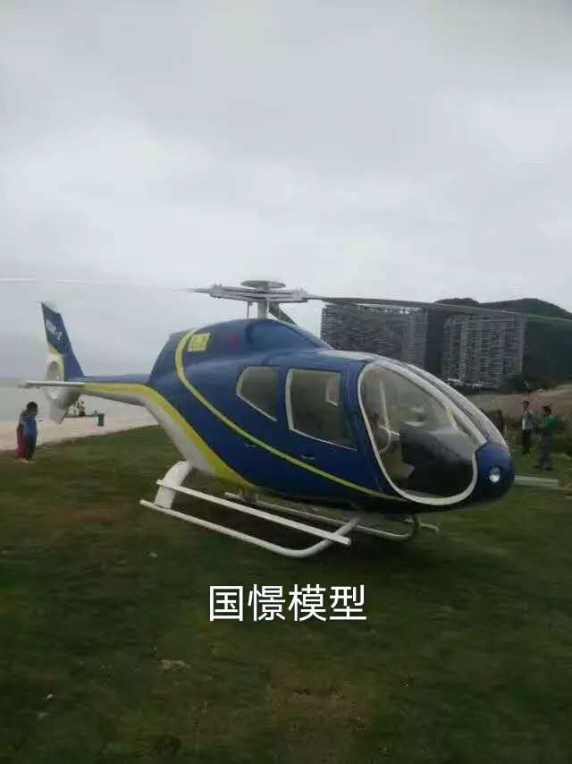 郧西县飞机模型