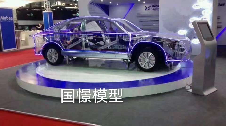 郧西县透明车模型