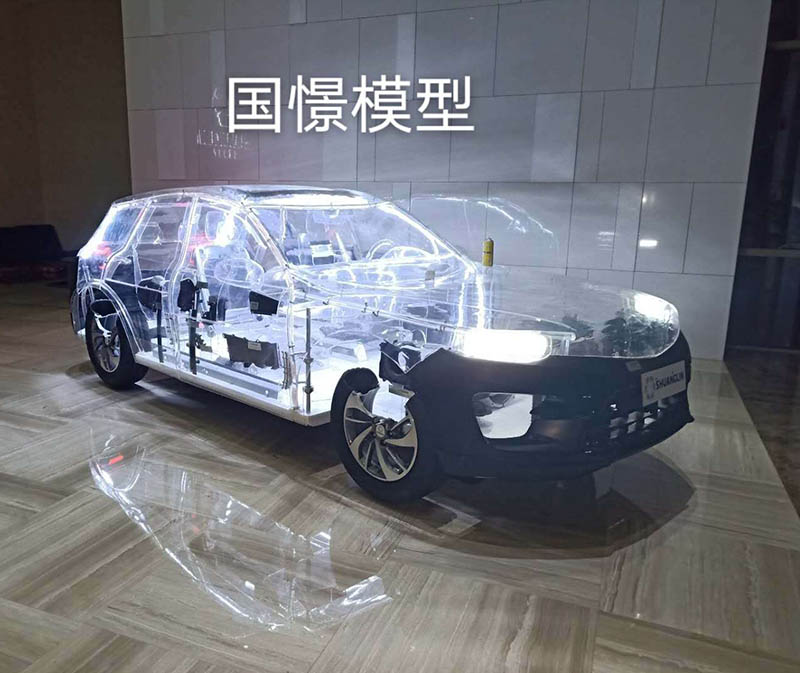 郧西县透明车模型
